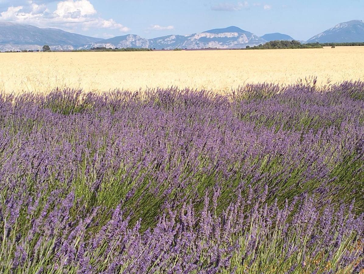 דינייה-לה-בן La Provence Vous Attend***!!! - 1Er Etage מראה חיצוני תמונה
